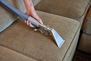 Upholstery steam cleaning couch cushion in Macomb Michigan